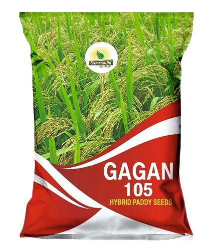 Gagan 105 Hybrid Paddy