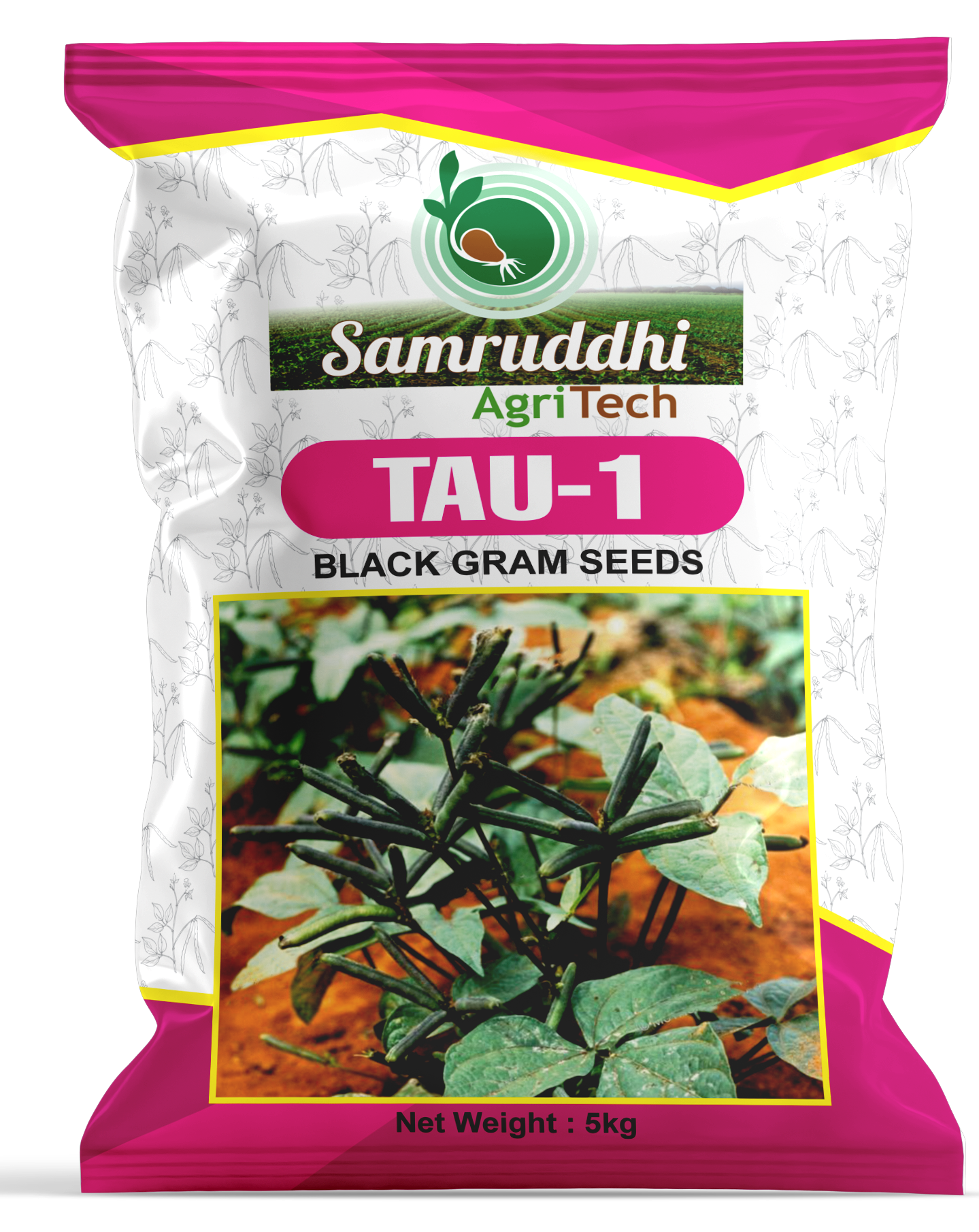 TAU-1 Black Gram Seeds