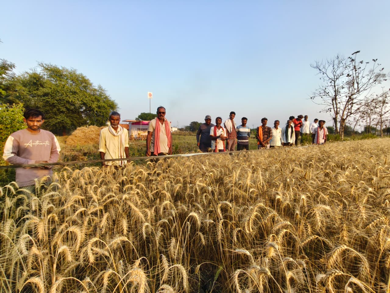 Farmers