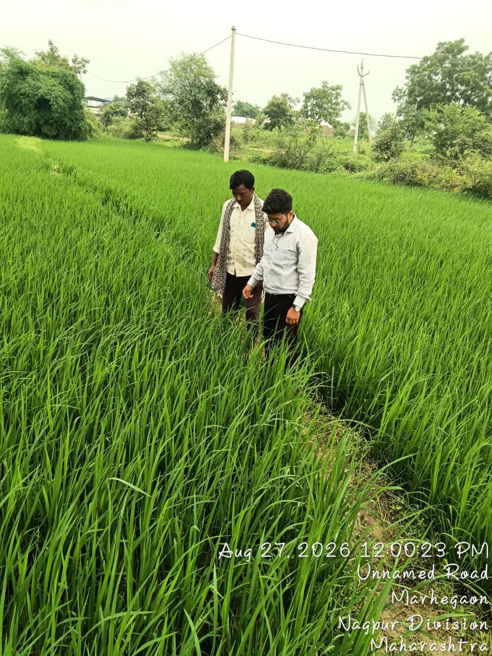 Field Visit