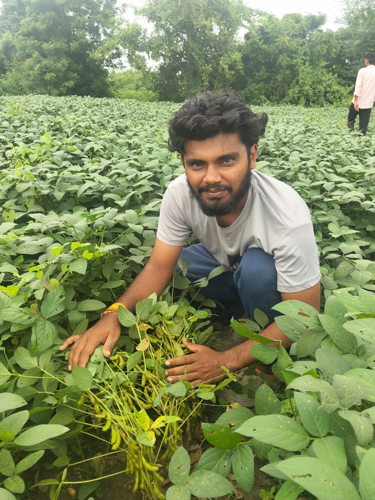 Seed Products